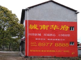 德保百分之90的人都不了解的农村墙体广告