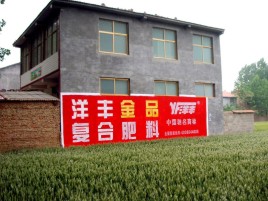 德保如何让墙体广告展现最大化效果