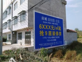 德保墙体广告质量分析