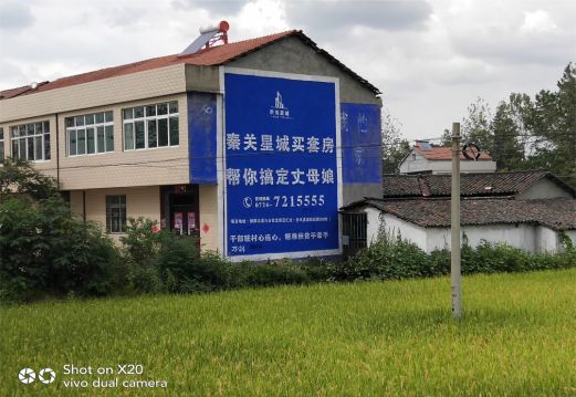 德保决定墙体广告价格的因素有哪些?