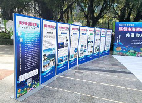 德保KT板的种类和知识。